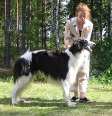 Photo:Paula Tiittanen